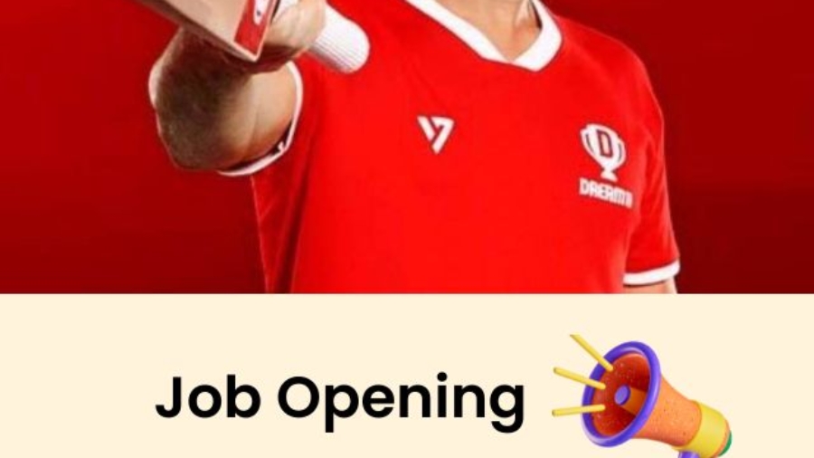 Dream11 jop openings